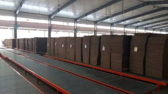 新一代電腦薄刀縱切壓痕機(jī)受紙箱廠(chǎng)追捧,業(yè)內(nèi)名企頻點(diǎn)贊