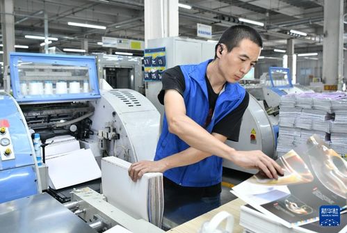 奮進(jìn)強(qiáng)國(guó)路 闊步新征程丨河北肅寧 協(xié)同發(fā)展助推圖書(shū)印刷產(chǎn)業(yè)壯大