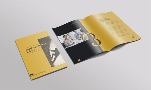 貴陽(yáng)印刷書(shū)寫(xiě)紙?jiān)O(shè)計(jì) 飛躍云端印務(wù)